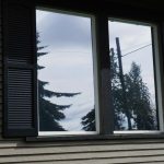 window tinting services