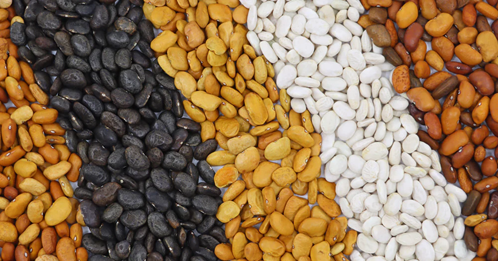 Texas native seed supplier